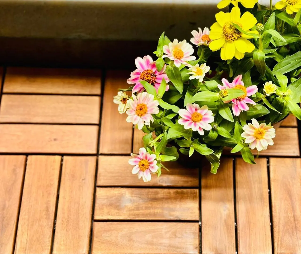 Apartmán Glou Shinjuku Family Prefektura Tokio 0*,  Japonsko