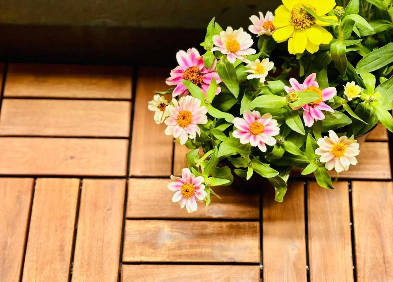 Apartmán Glou Shinjuku Family Prefektura Tokio